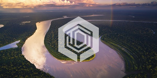 Carbon certificate Standards